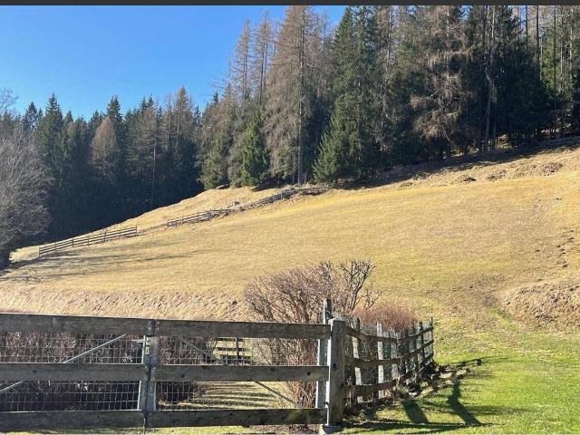 Immobilie kaufen in Bad Kleinkirchheim, Kärnten