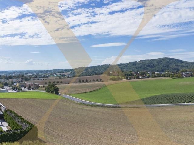 Haus kaufen in Leonding, Bezirk Linz-Land