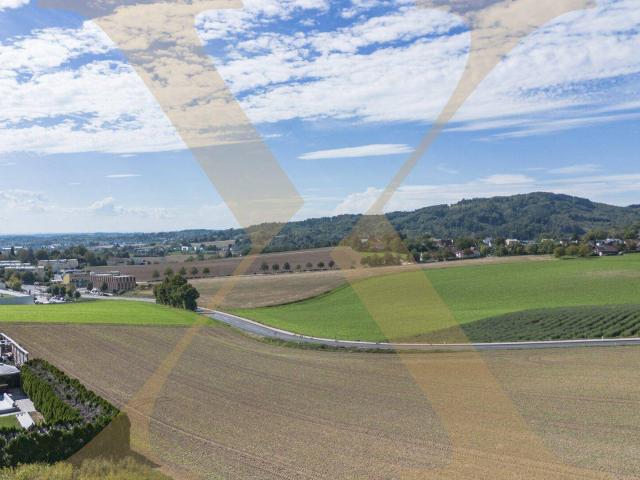 Haus kaufen in Holzheim, Leonding