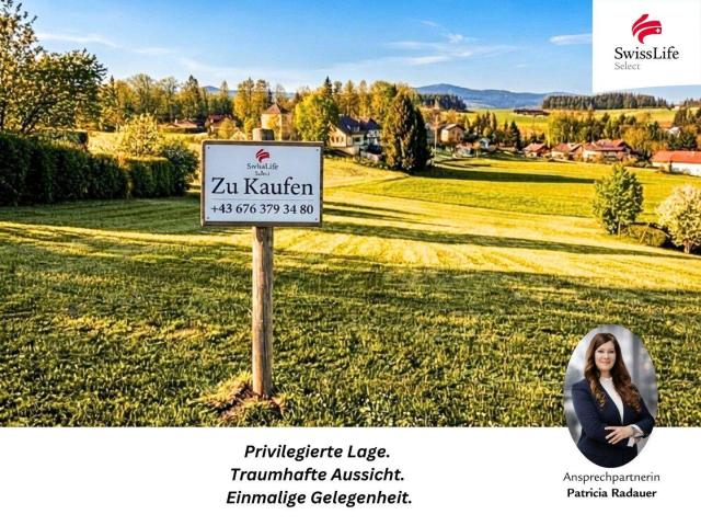 Immobilie kaufen in Hof bei Salzburg, Salzburg