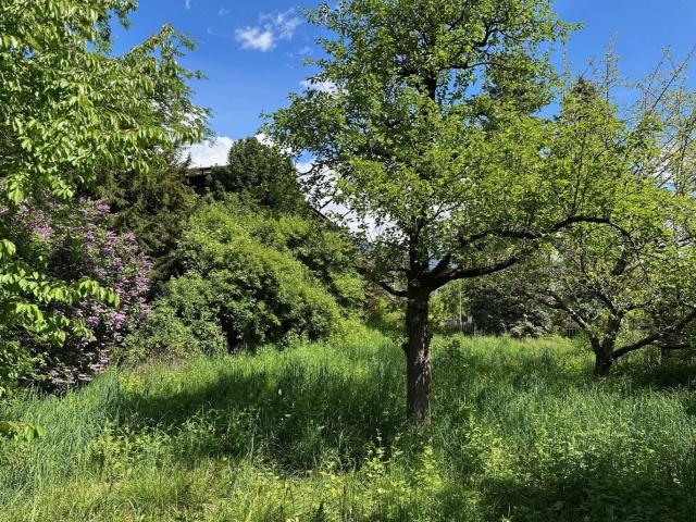 Grundstück kaufen in Radfeld, Tirol