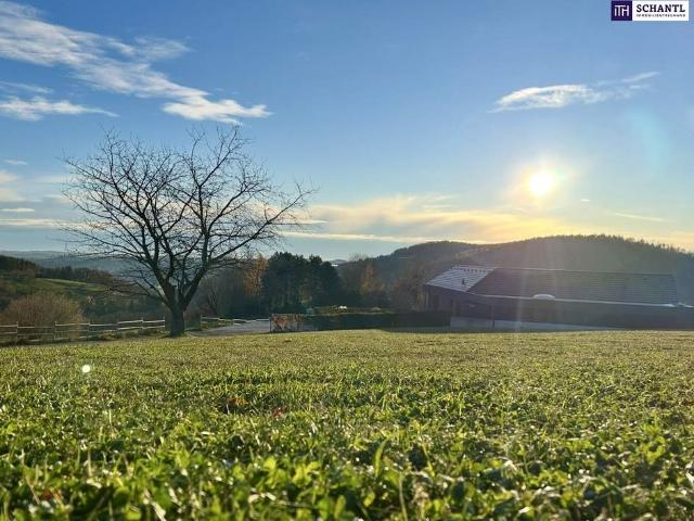 Grundstück kaufen in Bezirk Graz-Umgebung, Steiermark