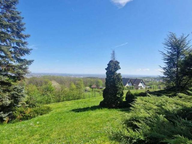 Grundstück kaufen in Mödling, Niederösterreich