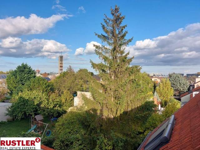 Wohnung kaufen in Mödling, Niederösterreich