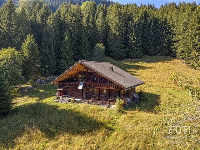 Haus kaufen in Champéry, Wallis