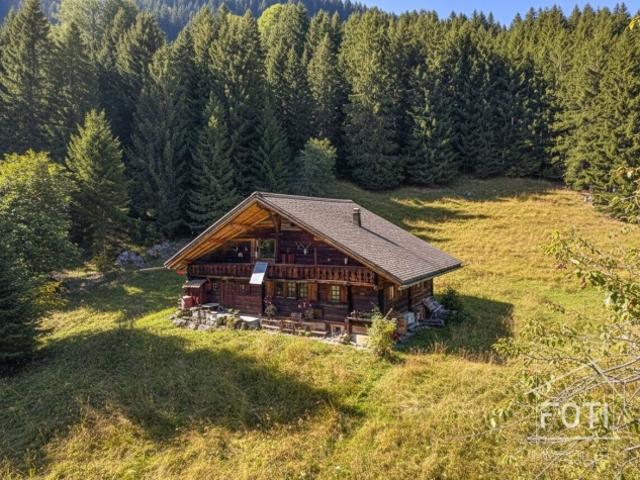 Haus kaufen in Champéry, Wallis