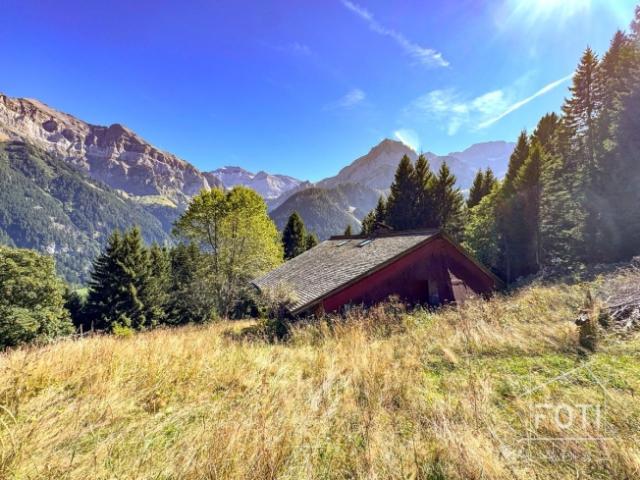 Haus kaufen in Champéry, Wallis