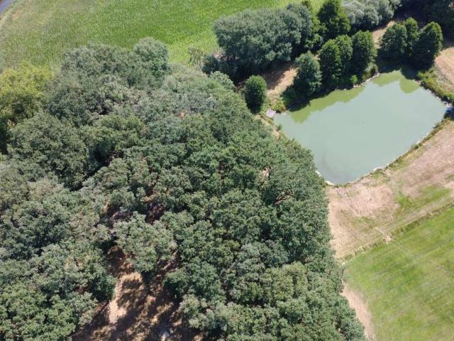 Erdgeschosswohnung kaufen in Beesten, Landkreis Emsland