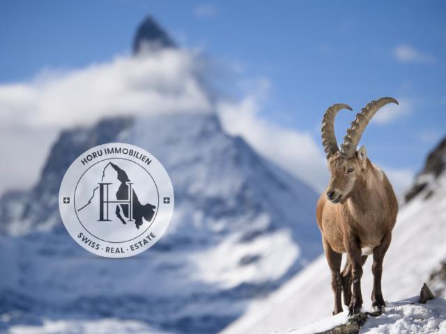 Grundstück kaufen in Zermatt, Wallis