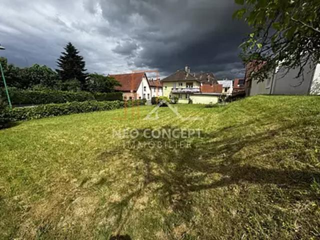 Terrain vente à Seltz, Collectivité européenne d'Alsace