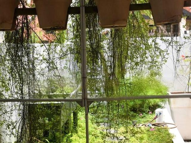 Condominium for sale in Ang Mo Kio, 20 Central North, Amk