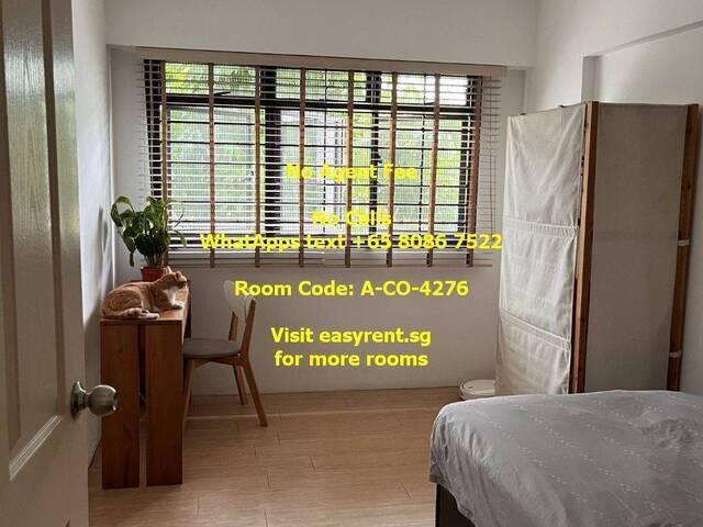 Room for rent