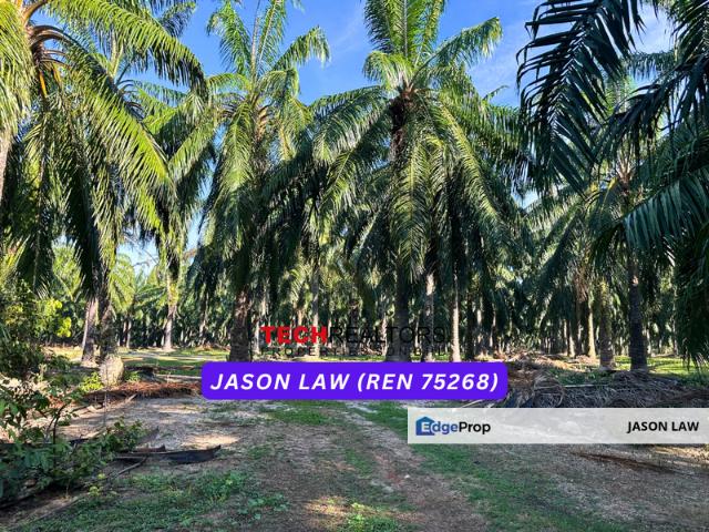 Shop for sale in Kuala Muda, Kedah