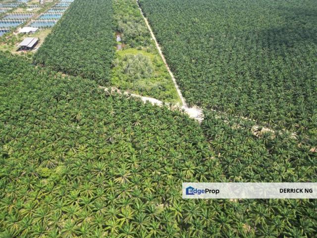 Shop for sale in Kuala Muda, Kedah