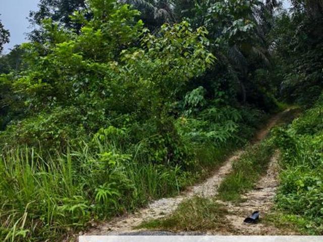 Warehouse for sale in Kajang, Langat