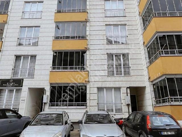 Tokat Merkez, Tokat içerisinde kiralık mülk