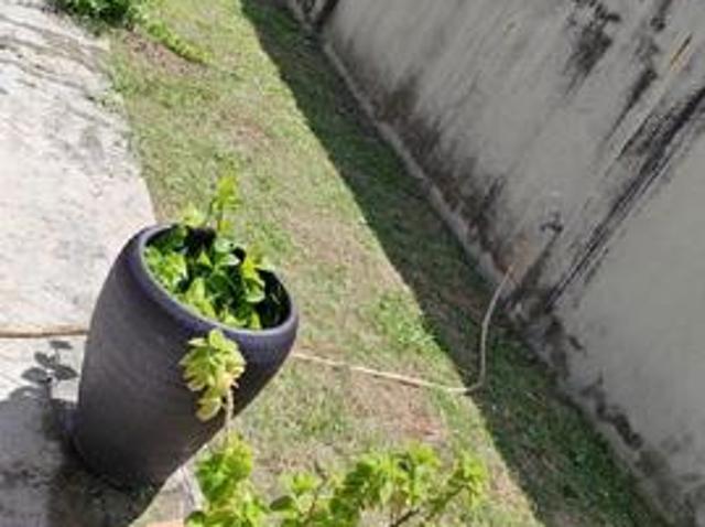 Residential House for sale in Perak, Tanjong Ipoh