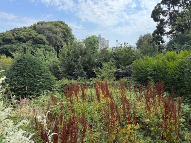 Farm for sale in Upperthorpe, Crookesmoor