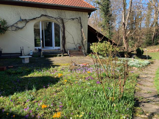 Haus mieten in Bollschweil, Baden-Württemberg