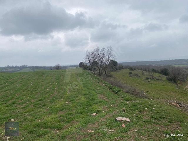 Yenişehir, Bursa içerisinde satılık Arsa