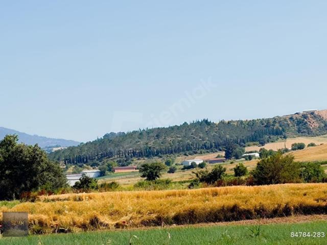 Yenişehir, Bursa içerisinde satılık Arsa