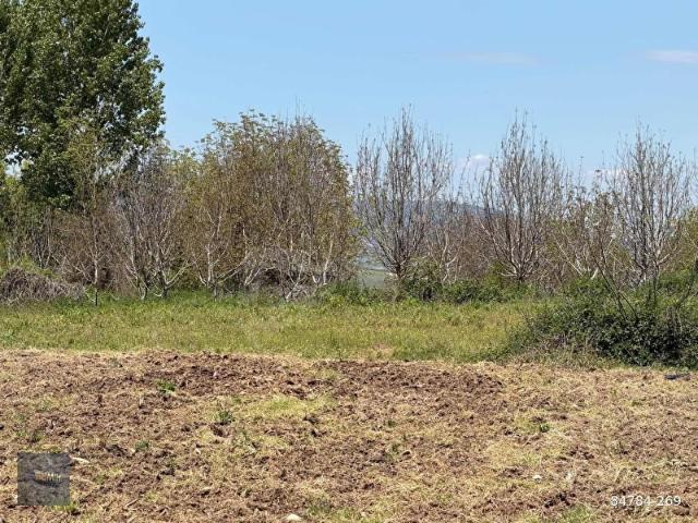 Yenişehir, Bursa içerisinde satılık Arsa