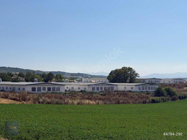 Yenişehir, Bursa içerisinde satılık Arsa