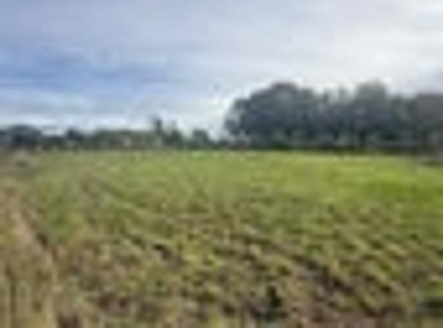 Land for sale in Invercargill, Southland