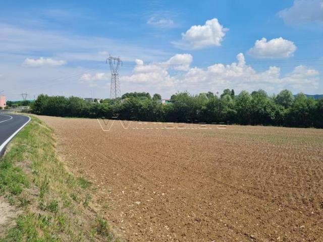 Terreno in vendita a Albettone, Veneto