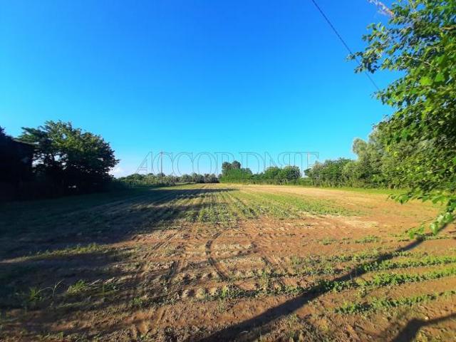 Terreno in vendita a Campodoro, Veneto