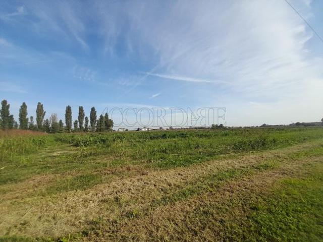 Terreno in vendita a Campodoro, Veneto