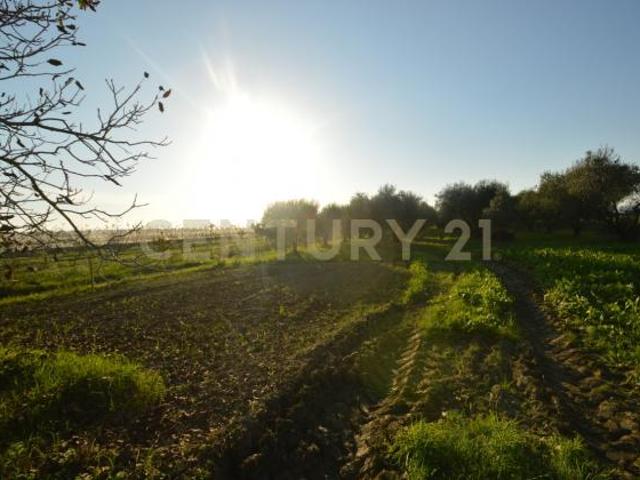 Terreno in vendita a Monte Argentario, Toscana