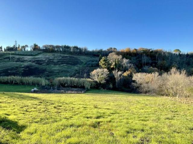 Terreno in vendita a Guardistallo, Toscana