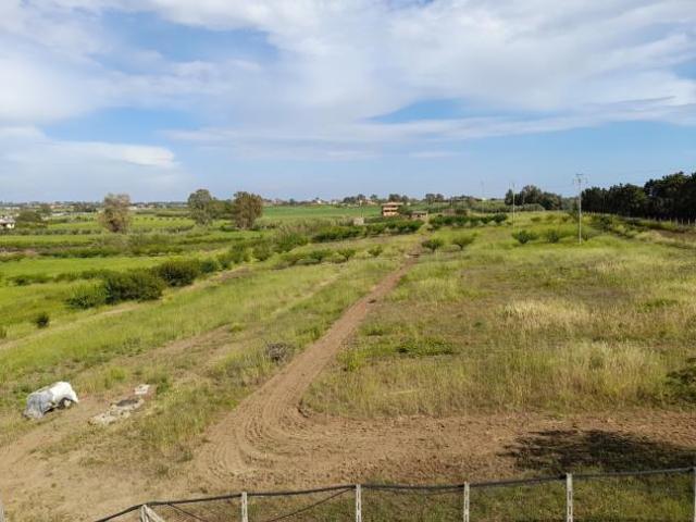 Terreno in vendita a Roma Capitale, Lazio