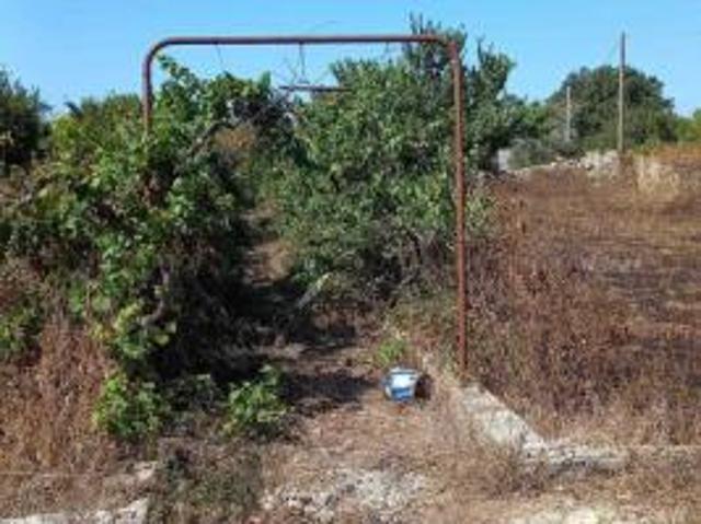 Terreno in vendita a Puglia, Lecce