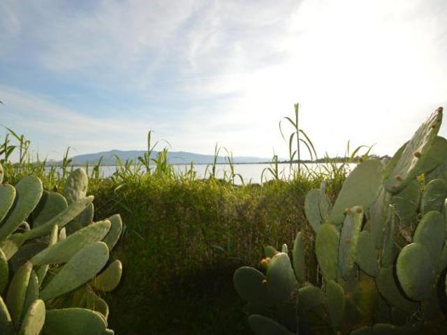 Terreno in vendita a Orbetello, Toscana