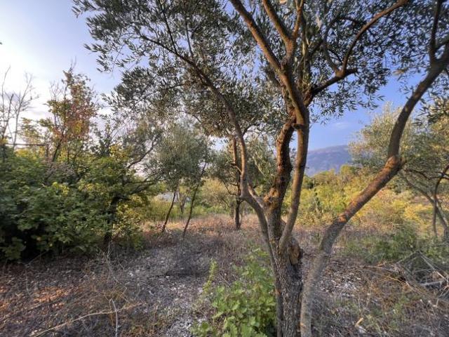 Terreno in vendita a Sulmona, Abruzzo