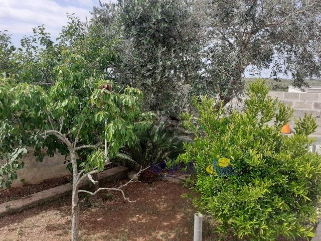 Villa Indipendente in affitto a Castro Marina, Puglia
