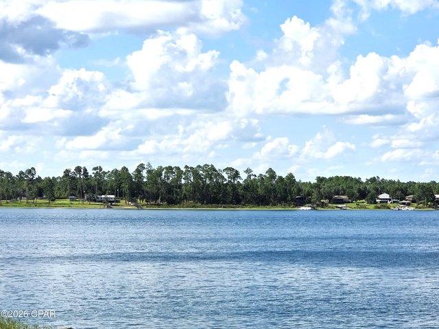 Land for sale in Marianna, Florida