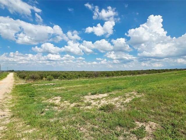 Land for sale in Babson Park, Florida