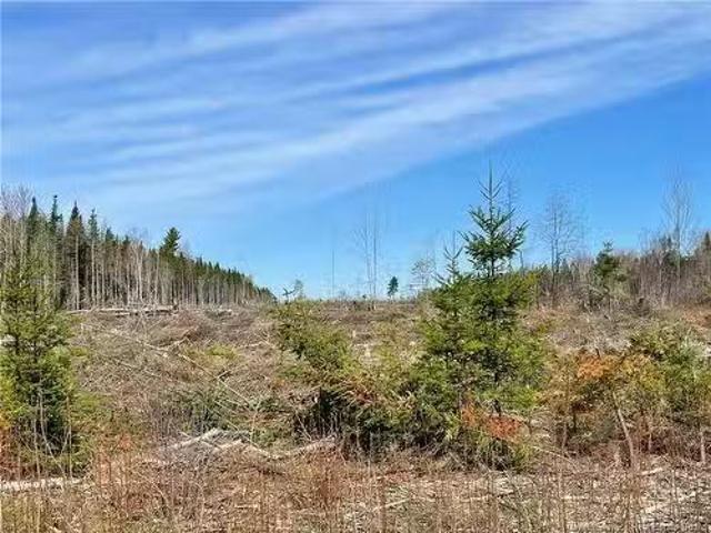 House for sale in South Nelson, New Brunswick