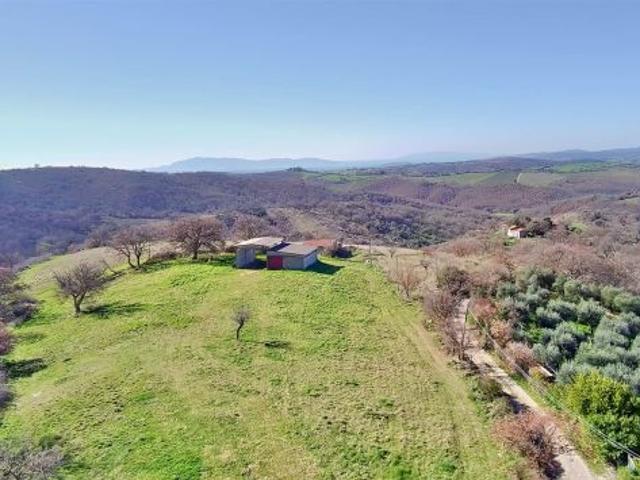 Terreno in vendita a Scansano, Grosseto