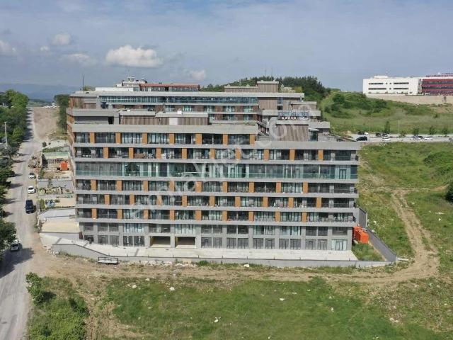 Yalova Merkez, Yalova içerisinde satılık mülk