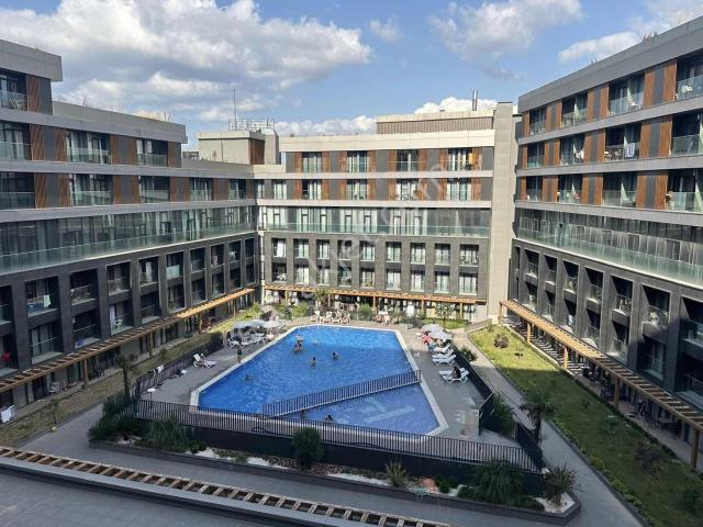 Yalova Merkez, Yalova içerisinde kiralık mülk