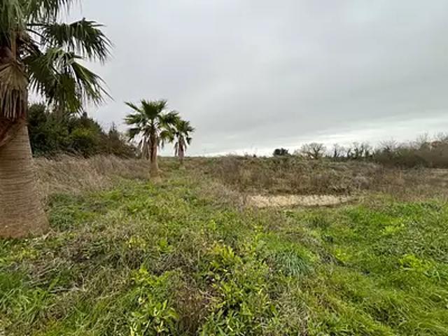 Terrain vente à France métropolitaine, Semussac