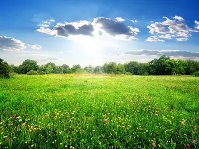 Terrain vente à Saintes, Semussac