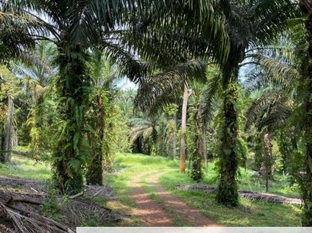 Shop for sale in Kulai, Johor