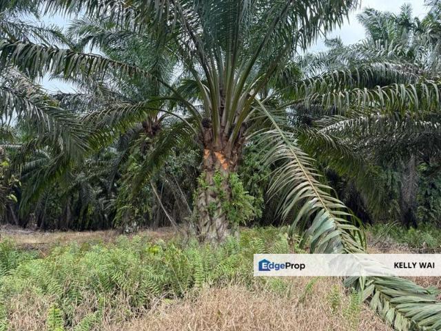 Shop for sale in Kulai, Johor