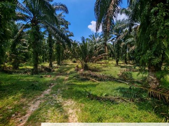 Shop for sale in Kulai, Johor