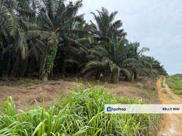 Shop for sale in Kulai, Johor